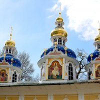Купола Печорского монастыря :: Анатолий 