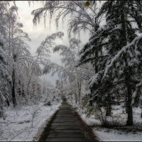 после снегопада... :: Наталья Маркова