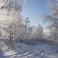 Мороз и солнце... :: Kassen Kussulbaev