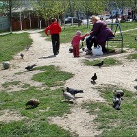 В тёплый апрельский денёк :: Нина Корешкова