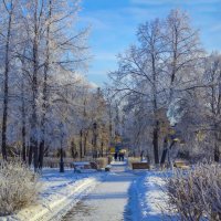 В зимнем парке :: Андрей Нагайцев 