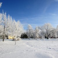 Очарование зимы :: раиса Орловская