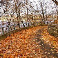 Осень в парке... :: Андрей Зелёный