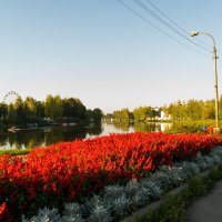 Набережная провинциального городка. :: Елена 