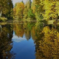 В тихом рукаве :: Юрий Цыплятников