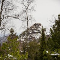 Прогулка в Столбах :: Татьяна Титова