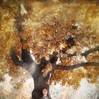 Девушка у дерева :: Дмитрий Бачтуб
