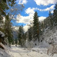 Под голубыми небесами. :: Николай Елисеев