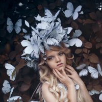 Butterfly :: Анна Степанова