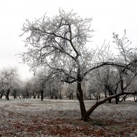 без названия :: Иван Миронов