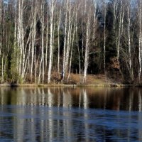 В начале ледостава... :: Юрий Цыплятников