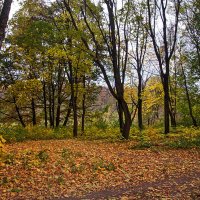 Золотая осень в парке. :: Горбушина Нина 