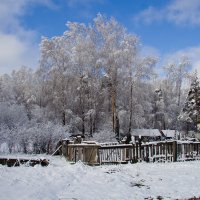 Молодой снег :: Мария Парамонова