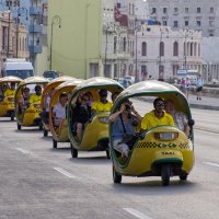 Парад Coco Taxi :: Evgeniy Kalinin 