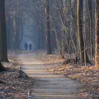 В парке :: Татьяна Нижаде