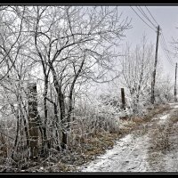 УТРЕННИЙ ИНЕЙ. ГДЕ ТО В РАЙОНЕ ДАЧНОГО ПОСЕЛКА. :: Юрий Ефимов