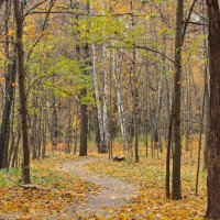 Сокольники. ...пасмурным погожим деньком. :: Геннадий Александрович