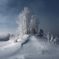 зимний день :: Дамир Белоколенко