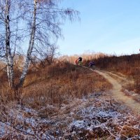 вместо лыж на велосипедах... :: Валентина. .