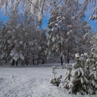 Сказка :: Мария Парамонова