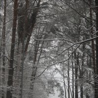 "Дни поздней осени бранят обыкновенно..." :: Виктор (victor-afinsky)