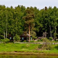 Дом в лесу на берегу Волги :: Ольга Маркова