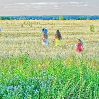 Бабочки летают, бабочки... :: Ирина Данилова