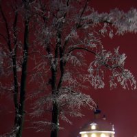 Ермолино.Моск. обл. :: dbayrak Дмитрий Байрак