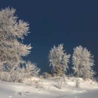 бриллианты :: Дамир Белоколенко