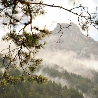 Пейзаж с отступающим туманом :: Николай Кувшинов