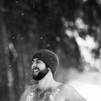 Lumberjack from Idaho :: Дмитрий Медведев