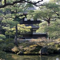 Ginkakuji :: Надежда Карасева