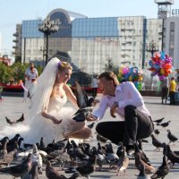 Свадьба, Л+А, август :: Екатерина Калашникова