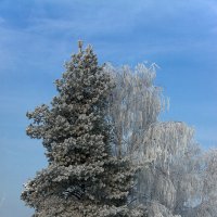 Нежные объятия :: Виктория Смирнова