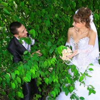 Свадьба :: Виталий Апухтин