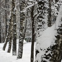 Зима :: Ирина Татьяничева