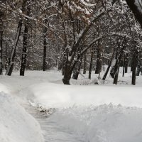 Зима :: Ирина Татьяничева