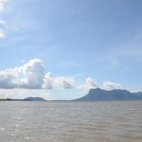 борнео :: Катерина Марченко