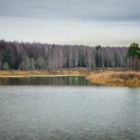 озеро Ельдигино :: Алла Мещерякова