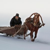 Домой :: Елена Бабурина