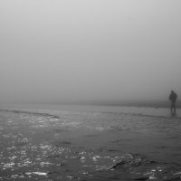 Туман :: Aleksey Donskov