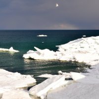 Зима на черном море :: дмитрий атаманюк