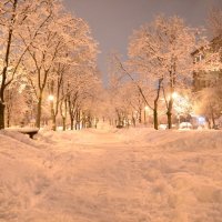 вечерний бульвар :: Юлия Жабокрицкая