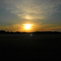 Рассвет на пшеничном поле :: Таня Вереск