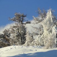 В   горах. :: Наталья Сергеева