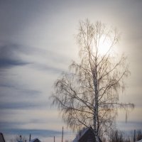 Мороз и солнце :: Игорь Хохлов
