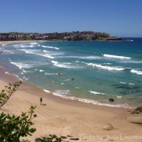 На пляже Bondi Beach :: Евгений Лимонтов