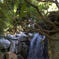Водопад (Китайский сад, г. Сидней, Австралия) :: Евгений Лимонтов