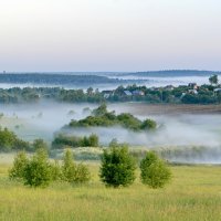 Туманное утро :: Александр Сивкин