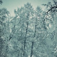Зима из окна :: Олег Лаврик